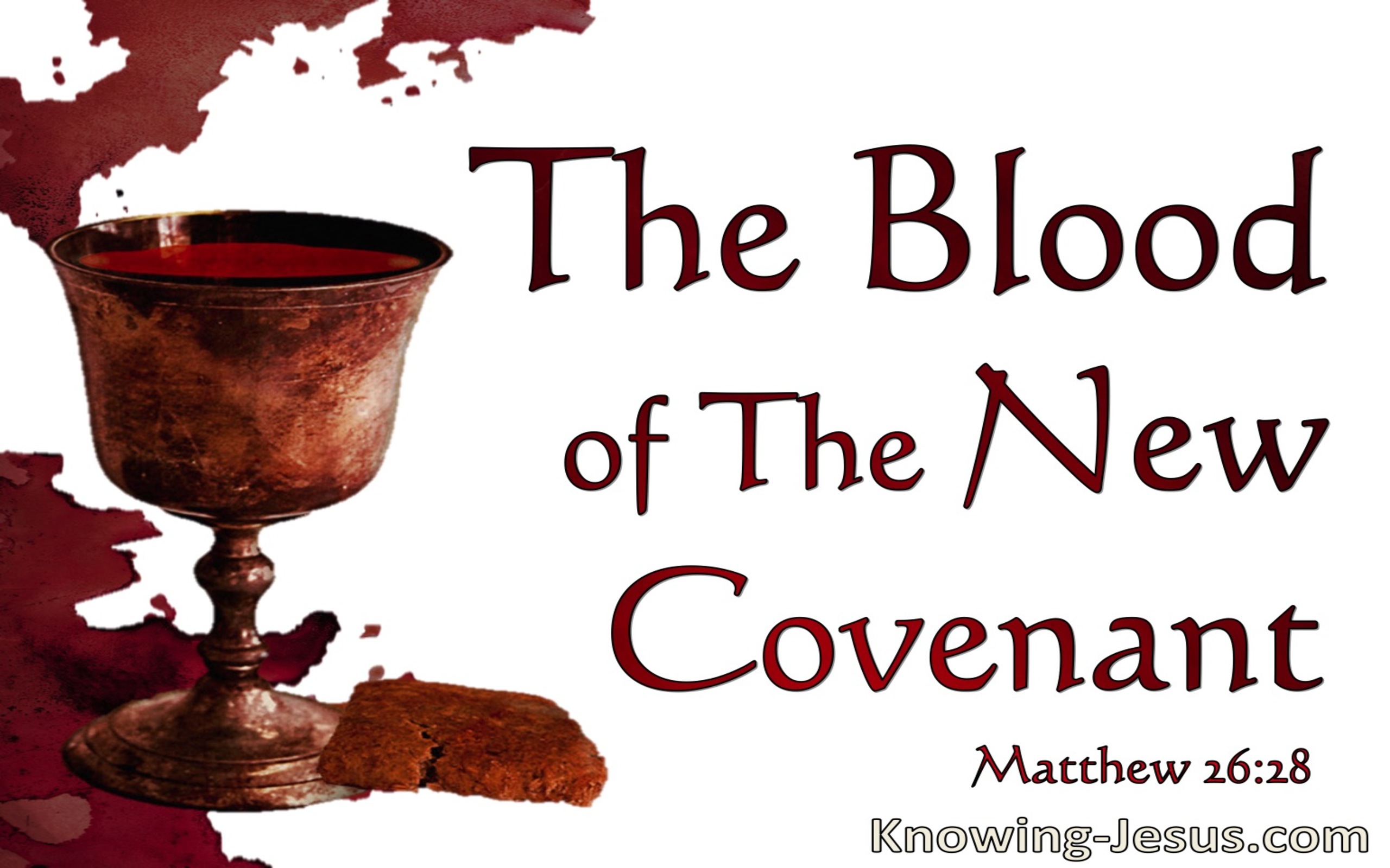 Matthew 26:28 The Blood Of The New Covanamt (white)